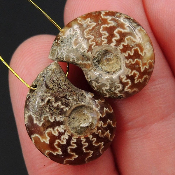 Drilled Whole Small Ammonite Earring Pair Matched Full Baby Ammonite Fossil Cabochon Cab Pair Drilled Matched Earrings Bead Pair E3285