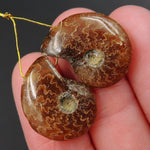 Drilled Whole Small Ammonite Earring Pair Matched Full Baby Ammonite Fossil Cabochon Cab Pair Drilled Matched Earrings Bead Pair E3291