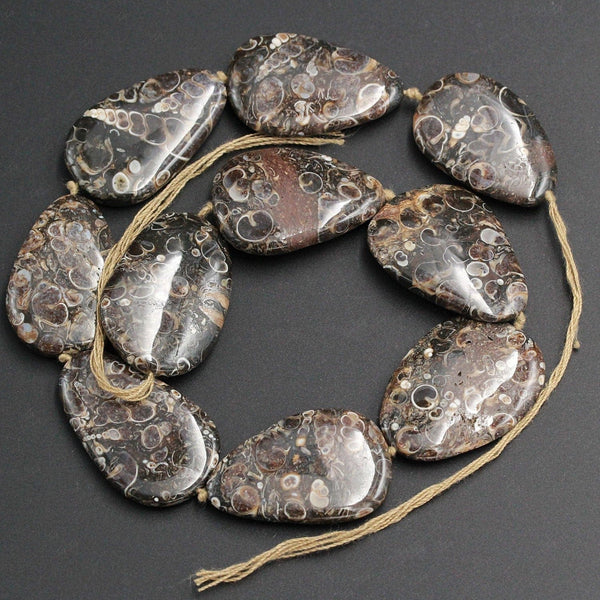 Large Turritella Fossil Agate Beads Huge Freeform Irregular Focal Bead Pendant Nuggets Earthy Brown Fossil Drilled 16" Strand