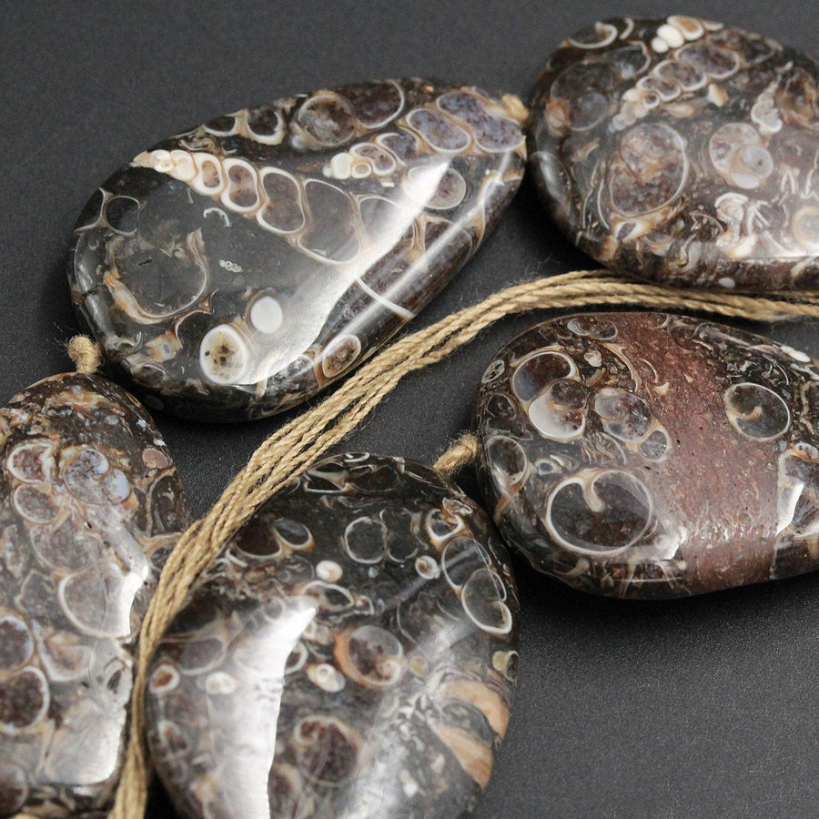 Large Turritella Fossil Agate Beads Huge Freeform Irregular Focal Bead Pendant Nuggets Earthy Brown Fossil Drilled 16" Strand