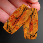 Red Creek Jasper Earring Pair Flat Freeform Cabochon Cab Pair Drilled Matched Earrings Natural Stone Bead Pair E2709
