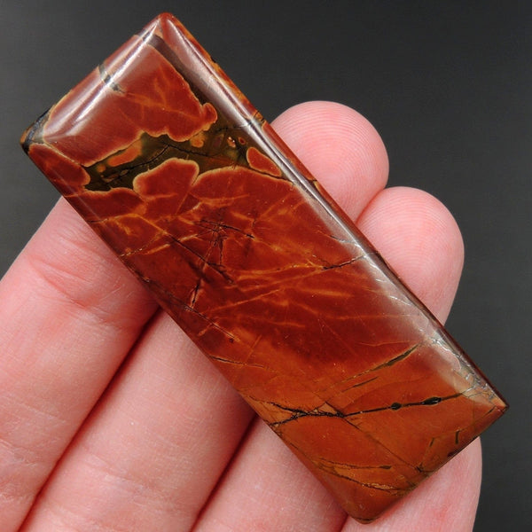 Red Creek Jasper Cherry Creek Jasper Multicolor Picasso Jasper Undrilled Rectangle Natural Stone Cabochon Cab C251