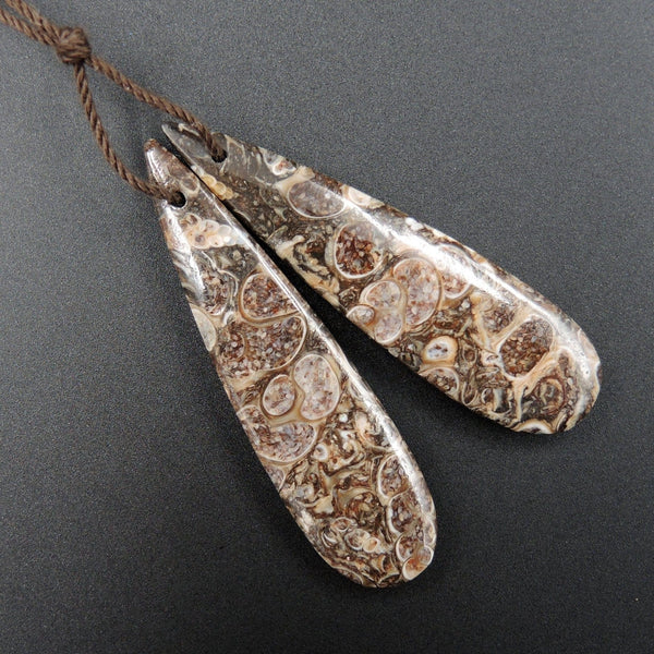 Natural Turritella Agate Fossil Earring Pair Cabochon Cab Pair Drilled Teardrop Matched Earrings Bead Pair E1687