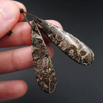 Natural Turritella Agate Fossil Earring Pair Cabochon Cab Pair Drilled Teardrop Matched Earrings Bead Pair E1687