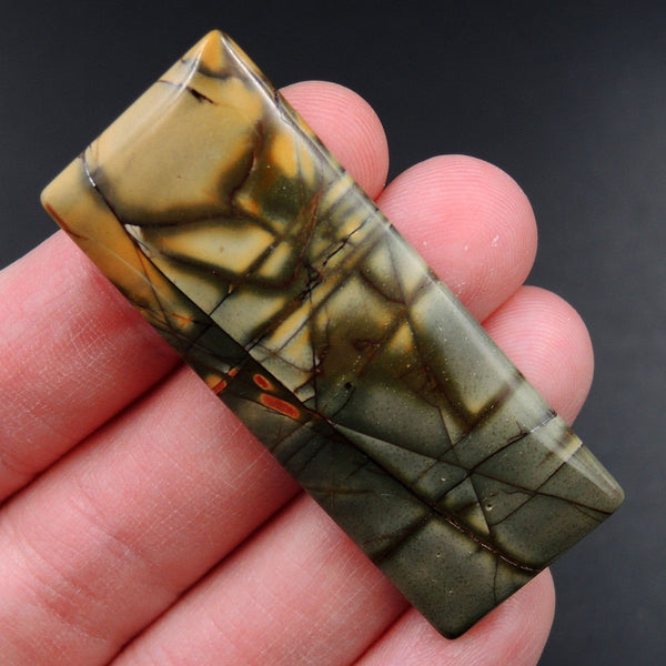 Red Creek Jasper Cherry Creek Jasper Multicolor Picasso Jasper Undrilled Rectangle Natural Stone Cabochon Cab C241
