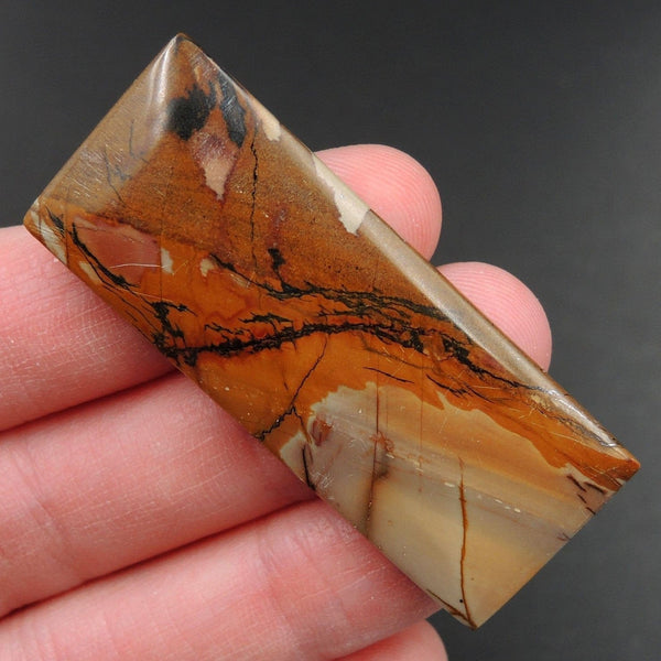 Red Creek Jasper Cherry Creek Jasper Multicolor Picasso Jasper Undrilled Rectangle Natural Stone Cabochon Cab C237
