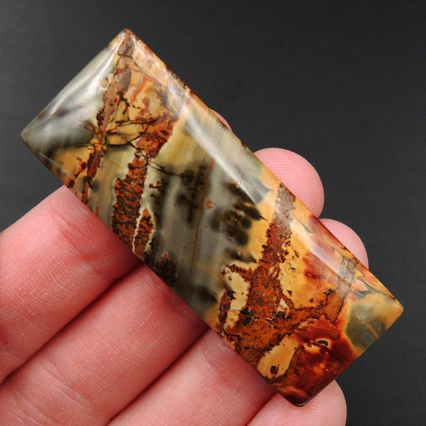 Red Creek Jasper Cherry Creek Jasper Multicolor Picasso Jasper Undrilled Rectangle Natural Stone Cabochon Cab C233