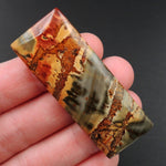 Red Creek Jasper Cherry Creek Jasper Multicolor Picasso Jasper Undrilled Rectangle Natural Stone Cabochon Cab C233