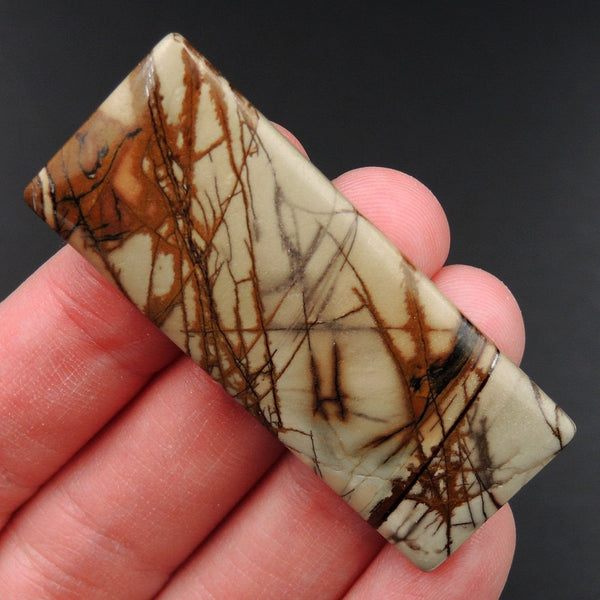 Red Creek Jasper Cherry Creek Jasper Multicolor Picasso Jasper Undrilled Rectangle Natural Stone Cabochon Cab C238