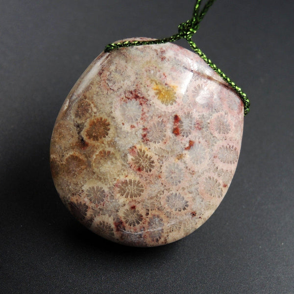Fossil Coral Pendant  Drilled Natural Freeform Pendant P1315