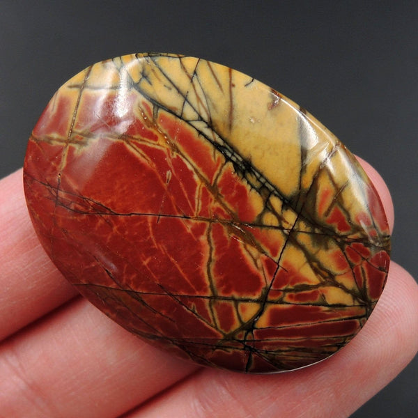 Red Creek Jasper Undrilled Multicolored Oval Natural Stone Cabochon Cab C189