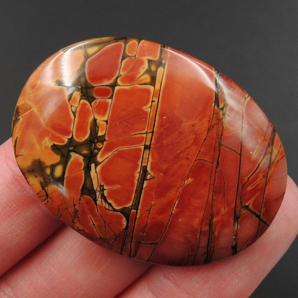 Red Creek Jasper Undrilled Multicolored Oval Natural Stone Cabochon Cab C179