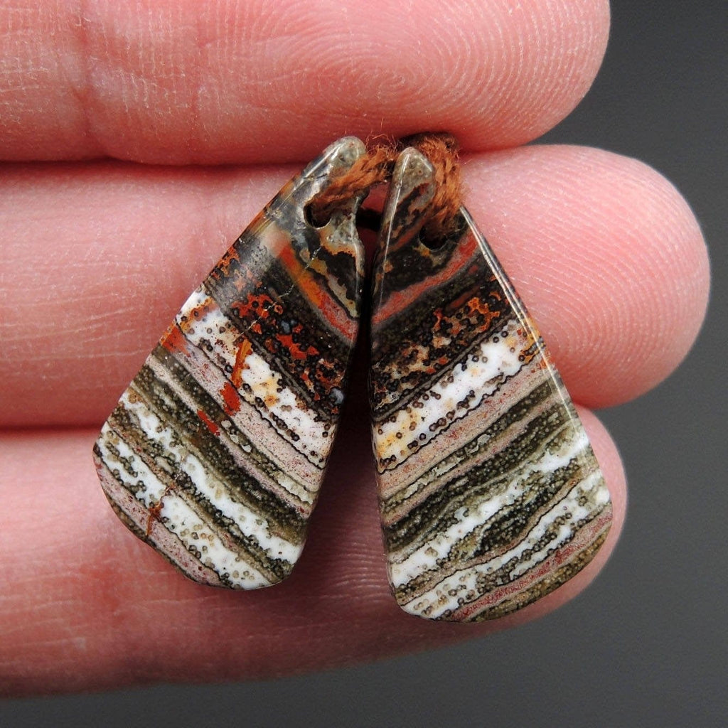 Ocean Jasper Earring Pair Triangle Cabochon Cab Pair Drilled Matched Earrings Bead Pair Natural Stone E2493
