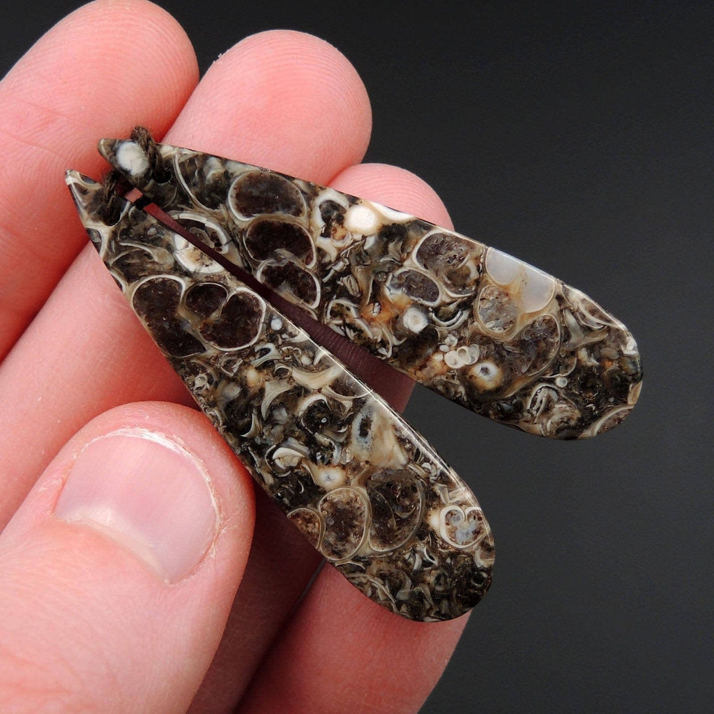 Natural Turritella Agate Fossil Earring Pair Cabochon Cab Pair Drilled Teardrop Matched Earrings Bead Pair E2450