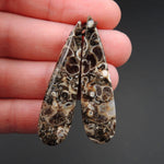 Natural Turritella Agate Fossil Earring Pair Cabochon Cab Pair Drilled Teardrop Matched Earrings Bead Pair E2450