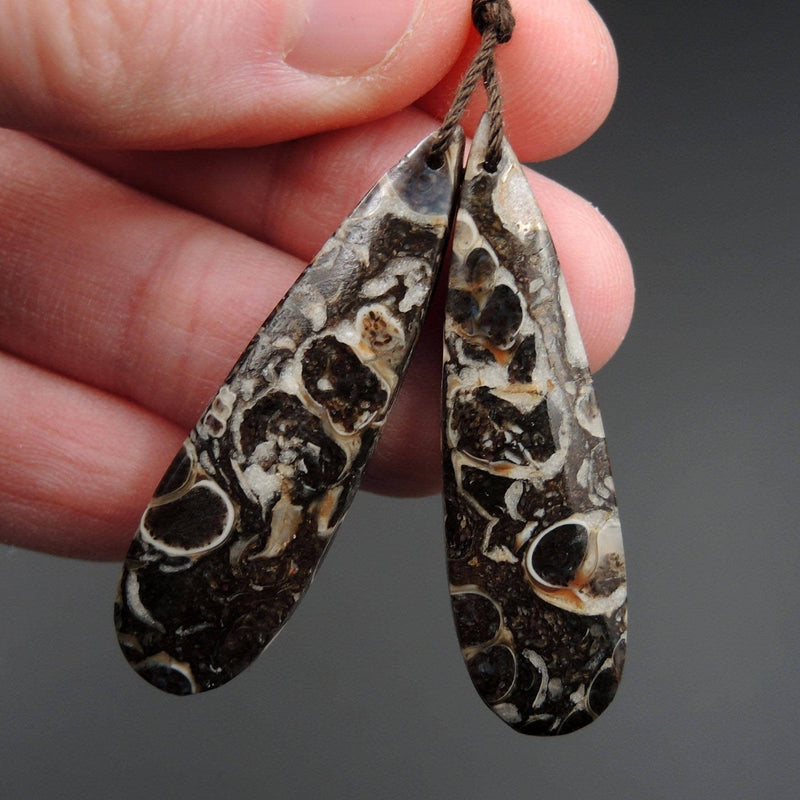 Natural Turritella Agate Fossil Earring Pair Cabochon Cab Pair Drilled Teardrop Matched Earrings Bead Pair E2438