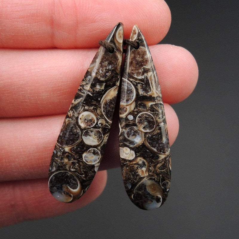 Natural Turritella Agate Fossil Earring Pair Cabochon Cab Pair Drilled Teardrop Matched Earrings Bead Pair E2451
