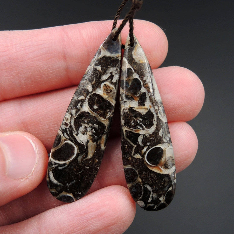 Natural Turritella Agate Fossil Earring Pair Cabochon Cab Pair Drilled Teardrop Matched Earrings Bead Pair E2438