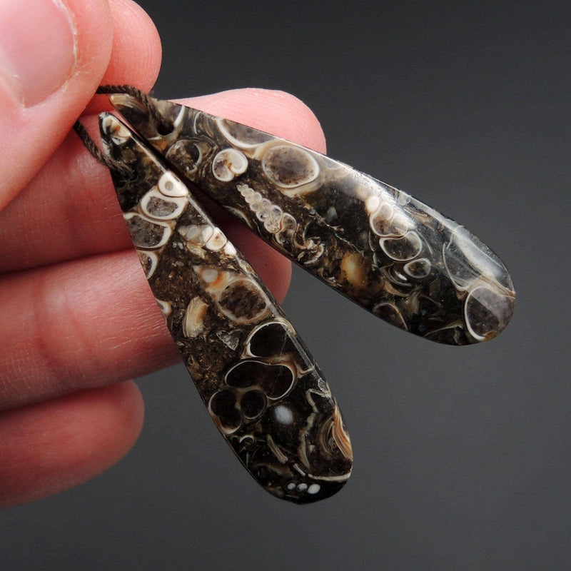 Natural Turritella Agate Fossil Earring Pair Cabochon Cab Pair Drilled Teardrop Matched Earrings Bead Pair E2447