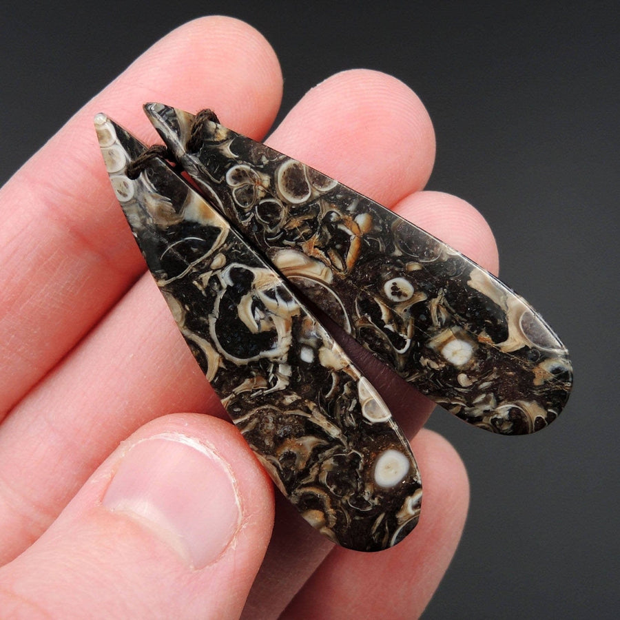 Natural Turritella Agate Fossil Earring Pair Cabochon Cab Pair Drilled Teardrop Matched Earrings Bead Pair E2444