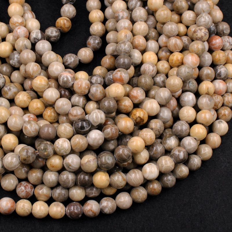 Natural Fossil Coral 6mm 8mm Round Organic Earthy Beads Grey Brown Tan Beige Yellow Beads 16" Strand