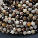 Natural Petrified Wood Beads Faceted 8mm Round Beads Micro Faceted Super Sparkling High Quality 16" Strand