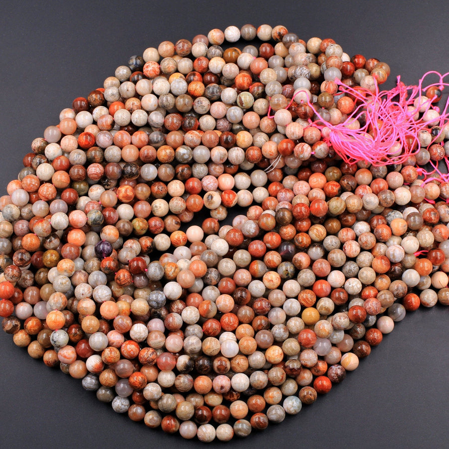 Natural Fossil Coral Round Beads 6mm 8mm Vibrant Red Orange Brown Tan Beige Beads 16" Strand