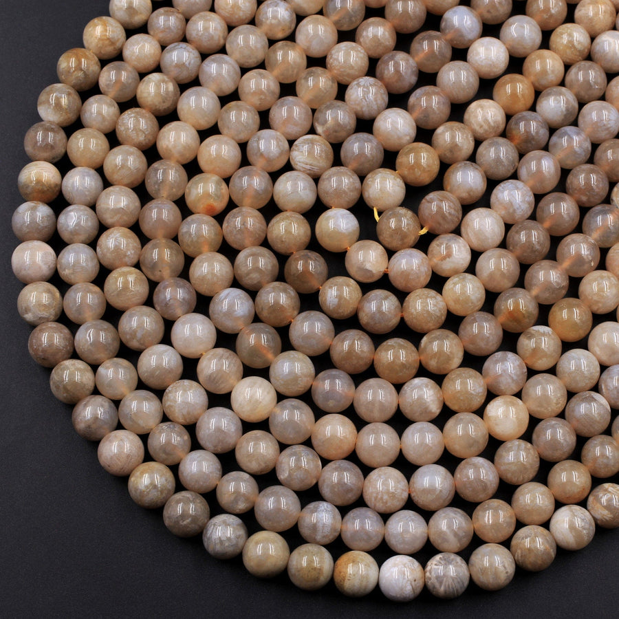 Extremely Rare Agatized Fossil Coral Round 8mm Beads From Indonesia 16" Strand
