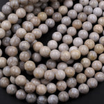 Light Gray Fossil Coral Round 8mm Beads From Indonesia 16" Strand