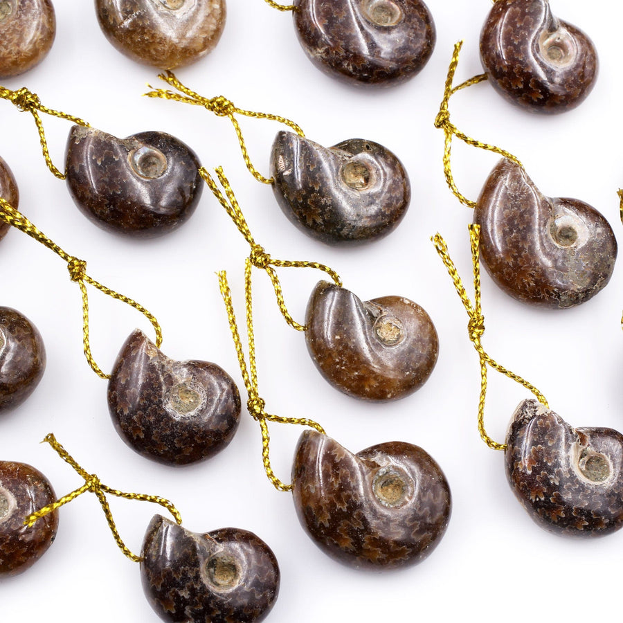 Natural Whole Ammonite Fossil Small Pendant Top Drilled Natural Shape Small Baby Ammonite Bead