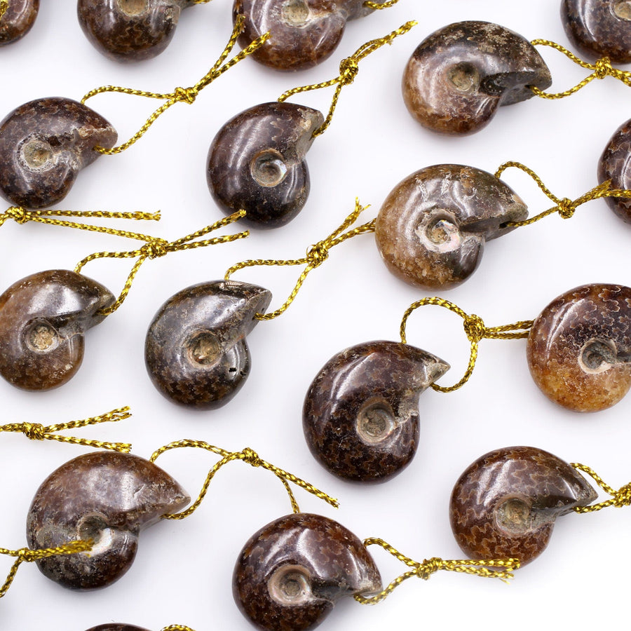 Natural Whole Ammonite Fossil Small Pendant Top Drilled Natural Shape Small Baby Ammonite Bead