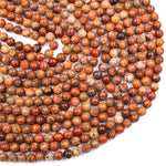 Natural Rusty Orange Red Fossil Coral Round Beads 6mm 8mm 10mm 12mm 14mm 16mm From Indonesia 16" Strand