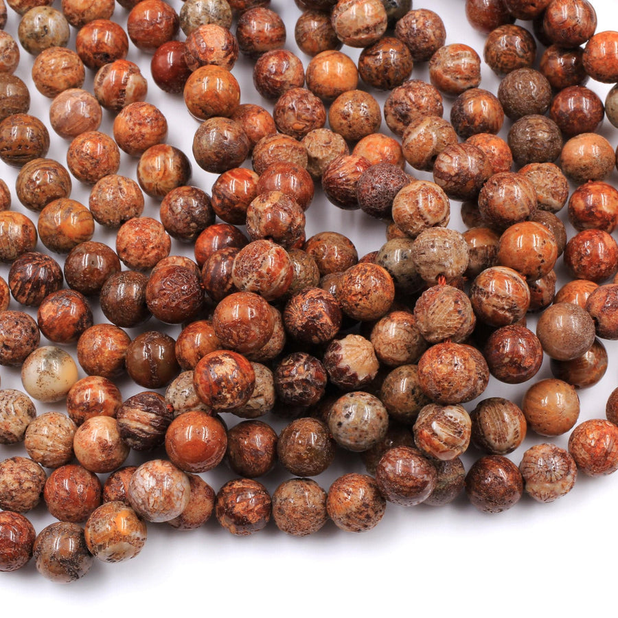 Raw Rusty Orange Red Natural Fossil Coral 6mm 8mm 10mm 15mm 16mm 18mm Round Beads 16" Strand