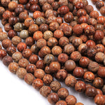 Raw Rusty Orange Red Natural Fossil Coral 6mm 8mm 10mm 15mm 16mm 18mm Round Beads 16" Strand
