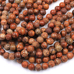 Raw Rusty Orange Red Natural Fossil Coral 6mm 8mm 10mm 15mm 16mm 18mm Round Beads 16" Strand