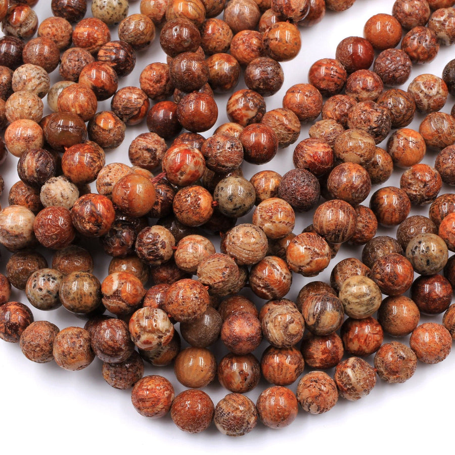 Raw Rusty Orange Red Natural Fossil Coral 6mm 8mm 10mm 15mm 16mm 18mm Round Beads 16" Strand