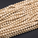 Natural Fossil Jasper River Stone 4mm  6mm 8mm  10mm Polished Round Tan Beige Cream Beads 15.5" Strand