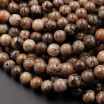 Natural Black Brown Fossil Coral 8mm Round Beads 15.5" Strand