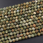 Matte Natural Rainforest Rhyolite Jasper Round 4mm 6mm 8mm 10mm Green Brown Orange Brown Beads 15.5" Strand