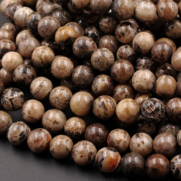 Natural Black Brown Fossil Coral 8mm Round Beads 15.5" Strand