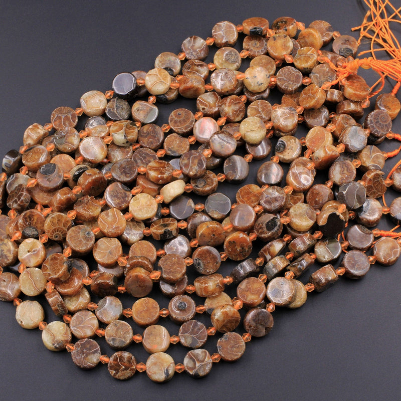Natural Ammonite Fossil Coin Disc Beads Brown 13mm 16" Strand