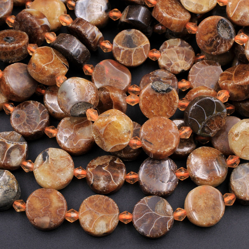 Natural Ammonite Fossil Coin Disc Beads Brown 13mm 16" Strand