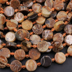 Natural Ammonite Fossil Coin Disc Beads Brown 13mm 16" Strand