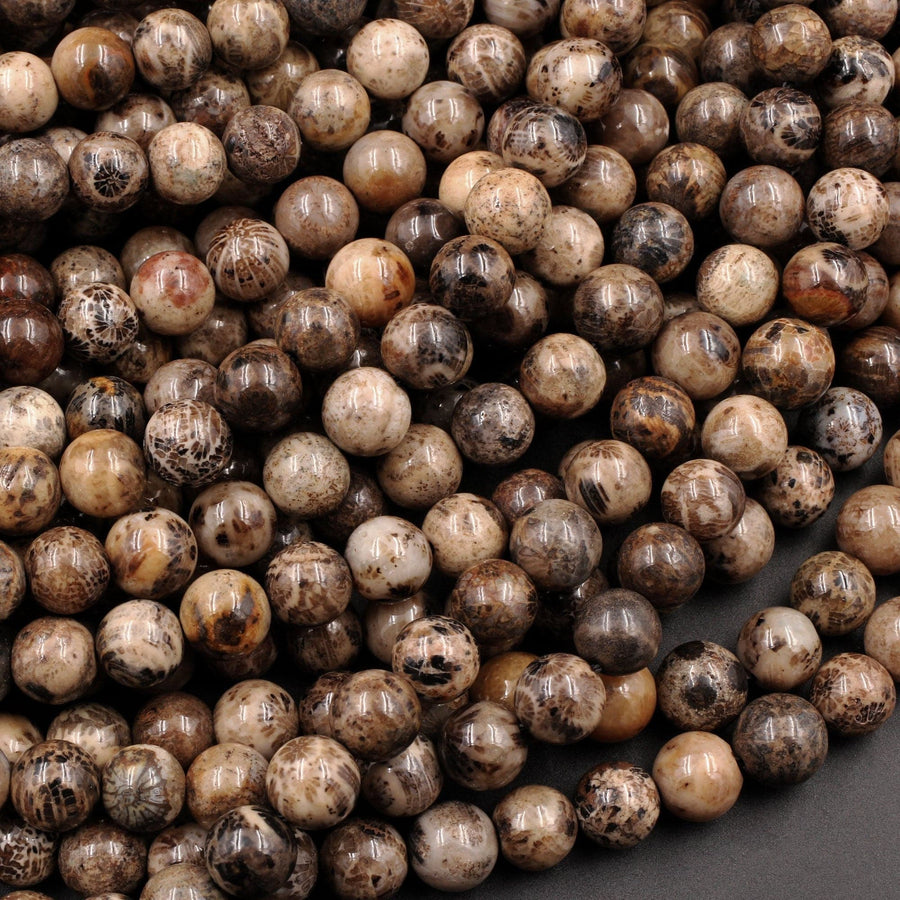 Natural Black Brown Fossil Coral 8mm Round Beads 15.5" Strand
