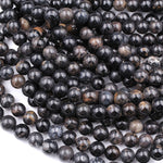 Black Fossil Coral Beads 7mm 8mm 9mm 10mm Round Beads 16" Strand