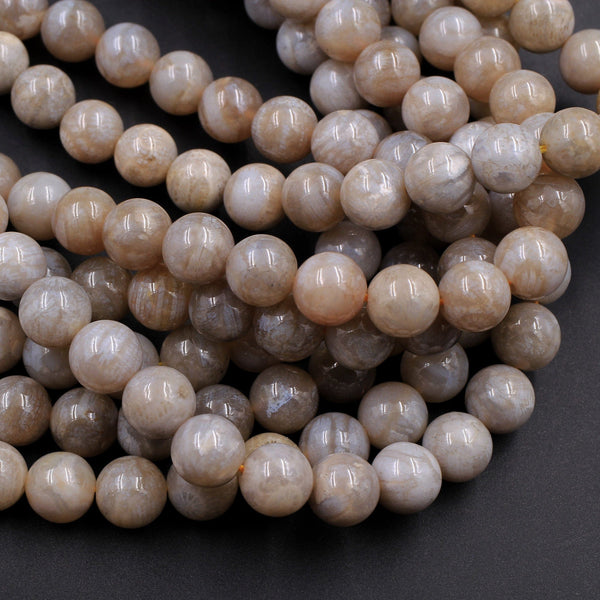 Extremely Rare Agatized Fossil Coral Round 8mm 9mm Beads From Indonesia Gemmy Gray Gemstone 15.5" Strand