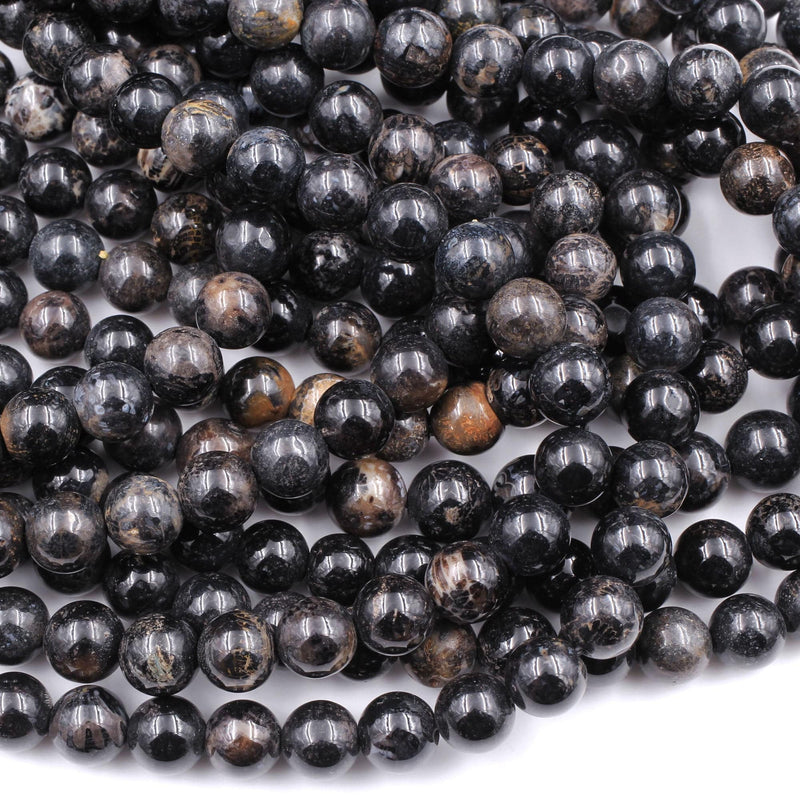 Black Fossil Coral Beads 7mm 8mm 9mm 10mm Round Beads 16" Strand