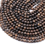 Natural Dark Black Brown Fossil Coral 8mm Round Beads 16" Strand