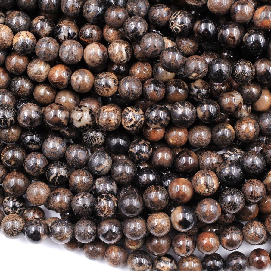 Natural Dark Black Brown Fossil Coral 8mm Round Beads 16" Strand