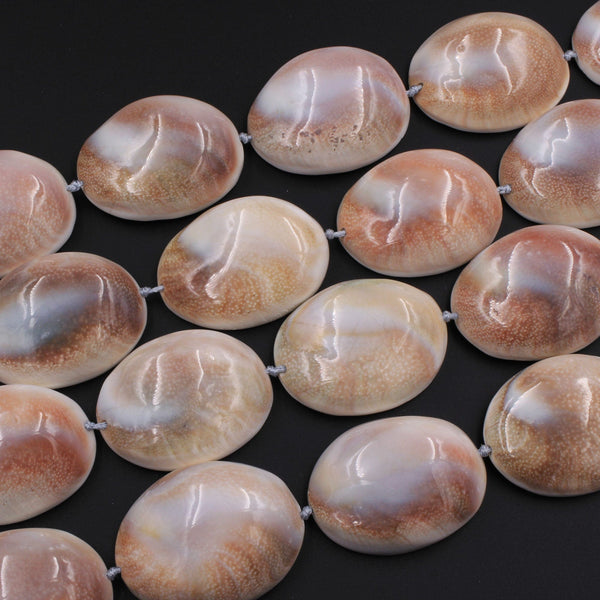 Large Shiva Eye Shell Beads Domed Oval Focal Pendant 16" Strand